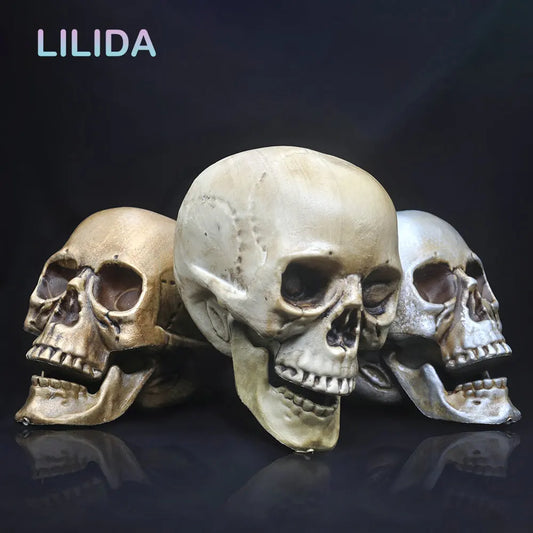 Skull Decor Prop Skeleton Head Plastic 1:1