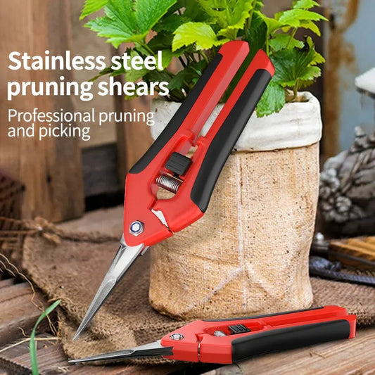 Stainless Steel Branch Pruning