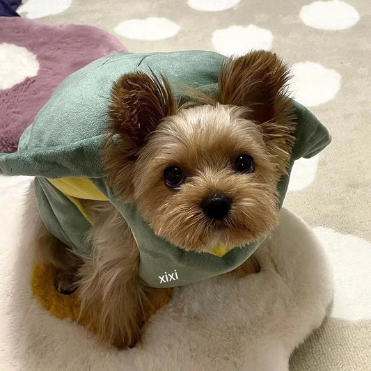 Dog and Cats Clothes Turtle